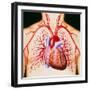 Human Heart, Artwork-John Bavosi-Framed Premium Photographic Print