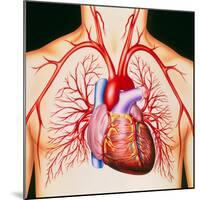 Human Heart, Artwork-John Bavosi-Mounted Premium Photographic Print