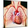 Human Heart, Artwork-John Bavosi-Mounted Premium Photographic Print