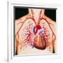 Human Heart, Artwork-John Bavosi-Framed Photographic Print