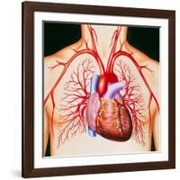 Human Heart, Artwork-John Bavosi-Framed Photographic Print