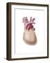 Human Heart Covered with Pericardium-null-Framed Art Print