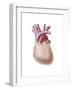 Human Heart Covered with Pericardium-null-Framed Art Print