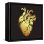 Human Heart of Gold. Anatomically Correct Hand Drawn Line Art and Dotwork Flash Tattoo or Print Des-Croisy-Framed Stretched Canvas