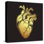 Human Heart of Gold. Anatomically Correct Hand Drawn Line Art and Dotwork Flash Tattoo or Print Des-Croisy-Stretched Canvas