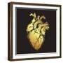 Human Heart of Gold. Anatomically Correct Hand Drawn Line Art and Dotwork Flash Tattoo or Print Des-Croisy-Framed Art Print