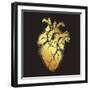 Human Heart of Gold. Anatomically Correct Hand Drawn Line Art and Dotwork Flash Tattoo or Print Des-Croisy-Framed Art Print