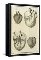 Human Heart Views, 1777-null-Framed Stretched Canvas