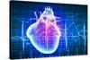 Human Heart with Cardiogram-Sergey Nivens-Stretched Canvas