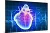 Human Heart with Cardiogram-Sergey Nivens-Mounted Art Print