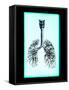 Human Lungs-Neal Grundy-Framed Stretched Canvas
