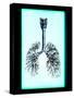 Human Lungs-Neal Grundy-Stretched Canvas