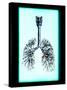 Human Lungs-Neal Grundy-Stretched Canvas