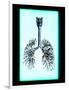 Human Lungs-Neal Grundy-Framed Photographic Print