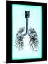 Human Lungs-Neal Grundy-Mounted Photographic Print
