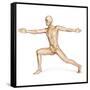 Human Male in Athletic Dynamic Posture, with Skeleton Superimposed-null-Framed Stretched Canvas