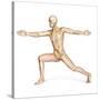 Human Male in Athletic Dynamic Posture, with Skeleton Superimposed-null-Stretched Canvas