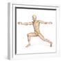 Human Male in Athletic Dynamic Posture, with Skeleton Superimposed-null-Framed Art Print