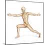 Human Male in Athletic Dynamic Posture, with Skeleton Superimposed-null-Mounted Art Print