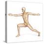 Human Male in Athletic Dynamic Posture, with Skeleton Superimposed-null-Stretched Canvas