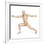 Human Male in Athletic Dynamic Posture, with Skeleton Superimposed-null-Framed Art Print