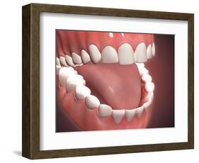 Human Mouth Open, Showing Teeth, Gums and Tongue-null-Framed Art Print