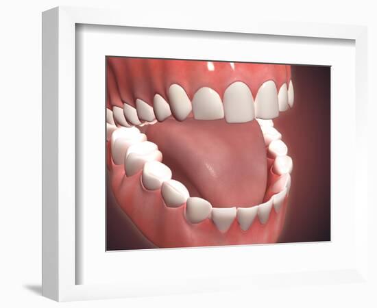 Human Mouth Open, Showing Teeth, Gums and Tongue-null-Framed Art Print