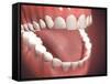 Human Mouth Open, Showing Teeth, Gums and Tongue-null-Framed Stretched Canvas