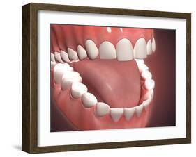 Human Mouth Open, Showing Teeth, Gums and Tongue-null-Framed Art Print