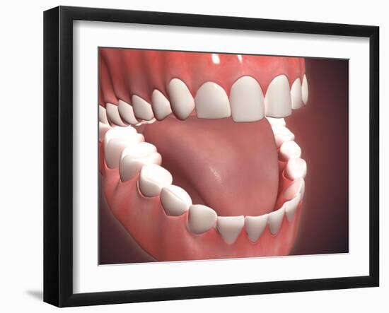 Human Mouth Open, Showing Teeth, Gums and Tongue-null-Framed Art Print