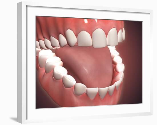 Human Mouth Open, Showing Teeth, Gums and Tongue-null-Framed Art Print