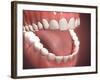 Human Mouth Open, Showing Teeth, Gums and Tongue-null-Framed Art Print