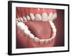 Human Mouth Open, Showing Teeth, Gums and Tongue-null-Framed Art Print