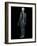 Human Nervous System, Artwork-SCIEPRO-Framed Photographic Print