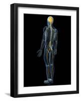 Human Nervous System, Artwork-SCIEPRO-Framed Photographic Print