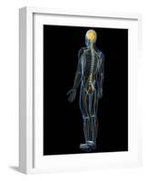 Human Nervous System, Artwork-SCIEPRO-Framed Photographic Print