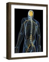 Human Nervous System, Artwork-SCIEPRO-Framed Photographic Print