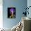 Human Nervous System, Artwork-SCIEPRO-Photographic Print displayed on a wall