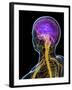 Human Nervous System, Artwork-SCIEPRO-Framed Photographic Print