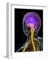 Human Nervous System, Artwork-SCIEPRO-Framed Photographic Print