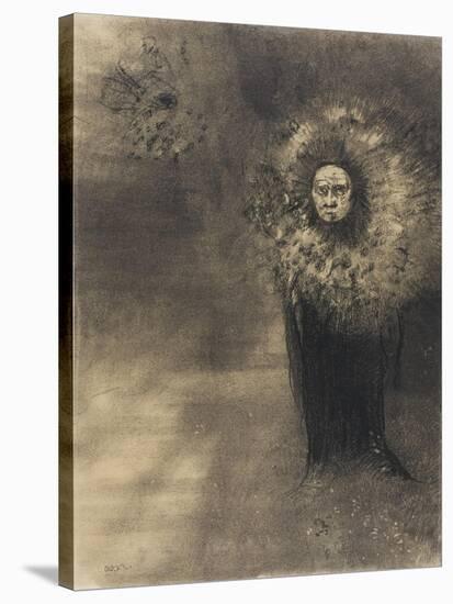 Human Plant, C.1880-Odilon Redon-Stretched Canvas