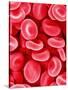 Human Red Blood Cells-Micro Discovery-Stretched Canvas