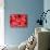 Human Red Blood Cells-Micro Discovery-Stretched Canvas displayed on a wall