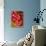 Human Red Blood Cells-Micro Discovery-Stretched Canvas displayed on a wall