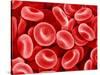 Human Red blood cells-Micro Discovery-Stretched Canvas