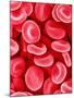 Human Red Blood Cells-Micro Discovery-Mounted Photographic Print