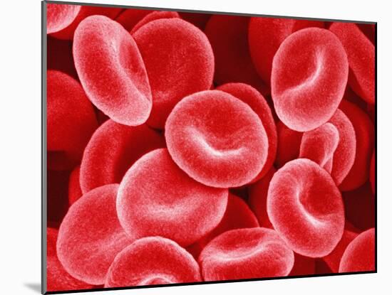 Human Red Blood Cells-Micro Discovery-Mounted Photographic Print