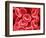 Human Red Blood Cells-Micro Discovery-Framed Photographic Print