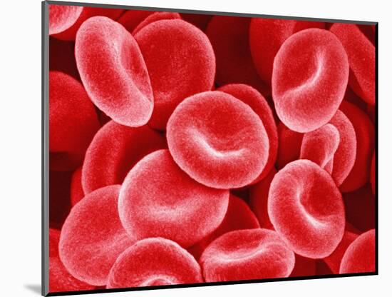 Human Red Blood Cells-Micro Discovery-Mounted Photographic Print