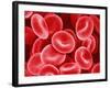 Human Red Blood Cells-Micro Discovery-Framed Photographic Print